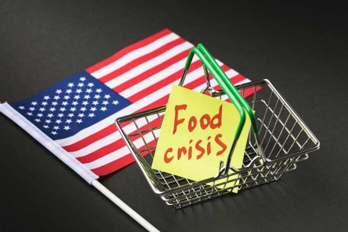 A small shopping basket with a sticky note reading 'Food crisis' next to an American flag