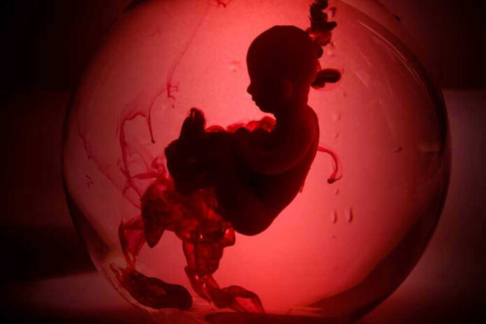 Silhouette of fetus in red-lit environment.