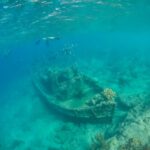 An underwater scene featuring a shipwreck surrounded by fish and coral