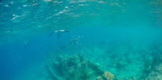 An underwater scene featuring a shipwreck surrounded by fish and coral
