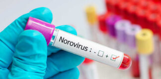 Gloved hand holding positive Norovirus test tube.