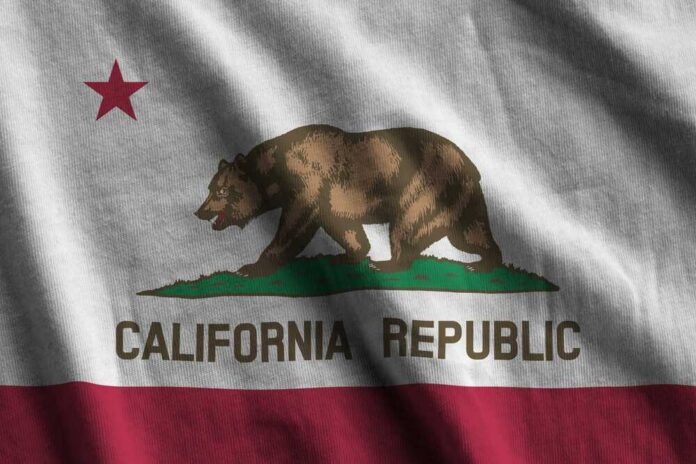 California state flag featuring a bear and a red star