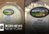 7 sick in New York and Virginia due to Listeria outbreak from ricotta cheese