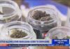 Supreme Court rules habitual marijuana users cannot be BANNED from owning guns