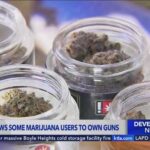 Supreme Court Shocks: Weed ≠ Gun Ban Supreme Court rules habitual marijuana users cannot be BANNED from owning guns
