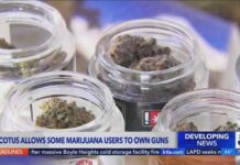 Supreme Court rules habitual marijuana users cannot be BANNED from owning guns