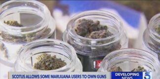 Supreme Court rules habitual marijuana users cannot be BANNED from owning guns